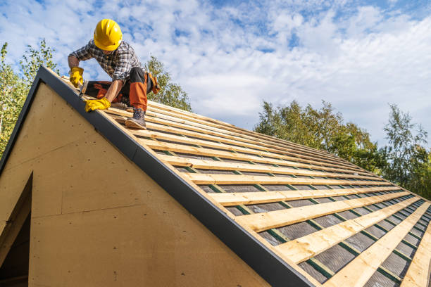 Best Roof Gutter Cleaning  in Fanning Springs, FL