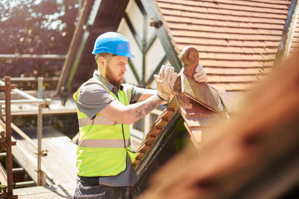 Best Roof Repair Services  in Fanning Springs, FL
